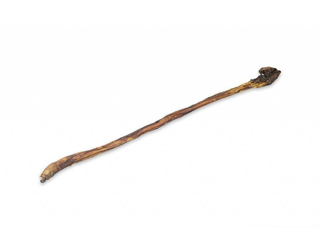 VitaFit sušený býkovec cca 100cm/ 1ks
