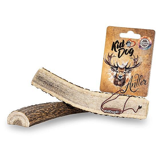 KidDog ANTLER polené jelenie parožie L – 81 až 120 g