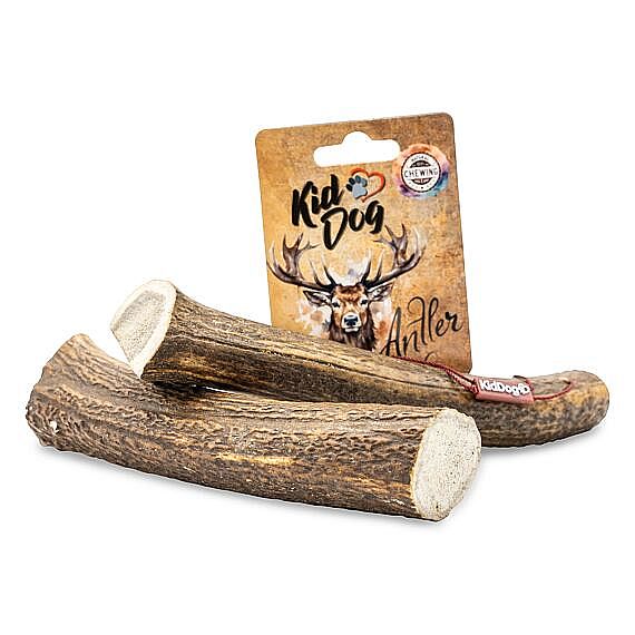 KidDog ANTLER celé jelenie parožie XL – 160 až 220 g