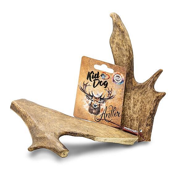 KidDog ANTLER danielie parožie XL – 141 až 200 g