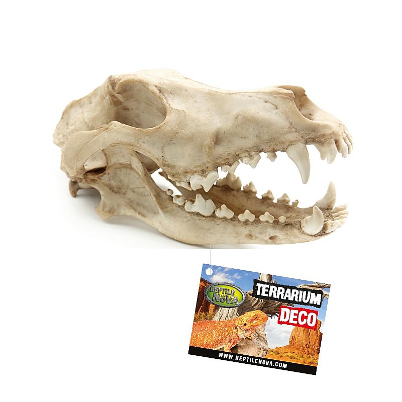 REPTILE NOVA úkryt do terária lebka zviera veľká 27x13x13,5cm