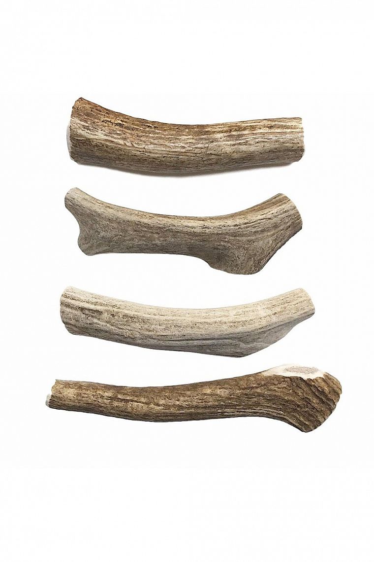 Maškrta jelení paroh celý L 81-120g alebo dlhší ako 12cm