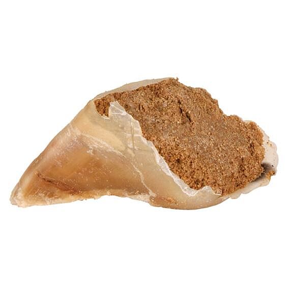 Trixie plnené kopyto, 115g