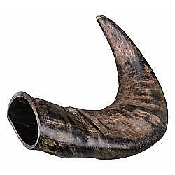 Natural buffalo (bovine) chewing horn, medium