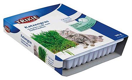 Cat grass, bowl/approx. 100 g