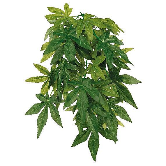 Silk hanging plant, abutilon, ø 20 × 30 cm zrušené