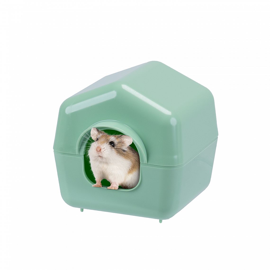 ISBA 4638 HAMSTER HOUSE