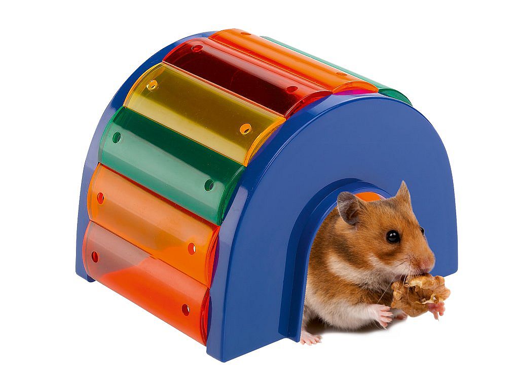 PA 4639 KUCI HOUSE MULTICOLOR